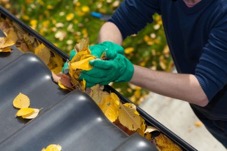 Reasons to have for professional gutter cleaning